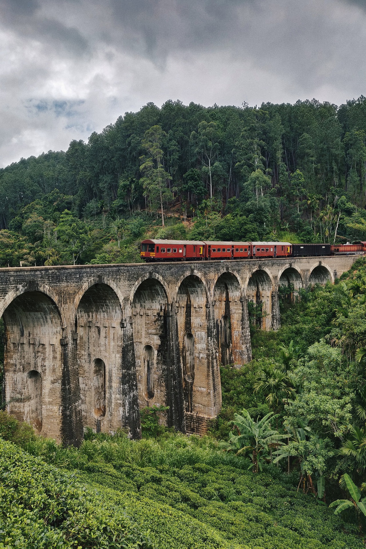 Train Rides to Ella